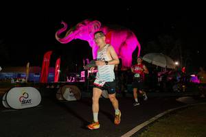 BIB: 
                            <button type="button" onclick="openModal(26535199)" class="btn btn-primary btn-sm float-right btn-popup" data-toggle="modal" data-target=".modal-high-quality">
                        <i class="fas fa-shopping-cart"></i> Add to Cart
                    </button>
                                            <button type="button" onclick="isThisMe(26535199, true)" class="btn btn-success btn-sm float-right btn-popup btn-isme hidden" data-toggle="tooltip" data-placement="bottom" title="นี่คือรูปของคุณใช่ไหม คลิกที่นี่เพื่อเอาเข้าอัลบั้ม">
                        <i class="fas fa-plus"></i> Add to album
                    </button>
                    <button type="button" onclick="isThisMe(26535199, false)" class="btn btn-warning btn-sm float-right btn-popup btn-isnotme hidden">
                        <i class="fas fa-ban"></i> Remove from album
                    </button>